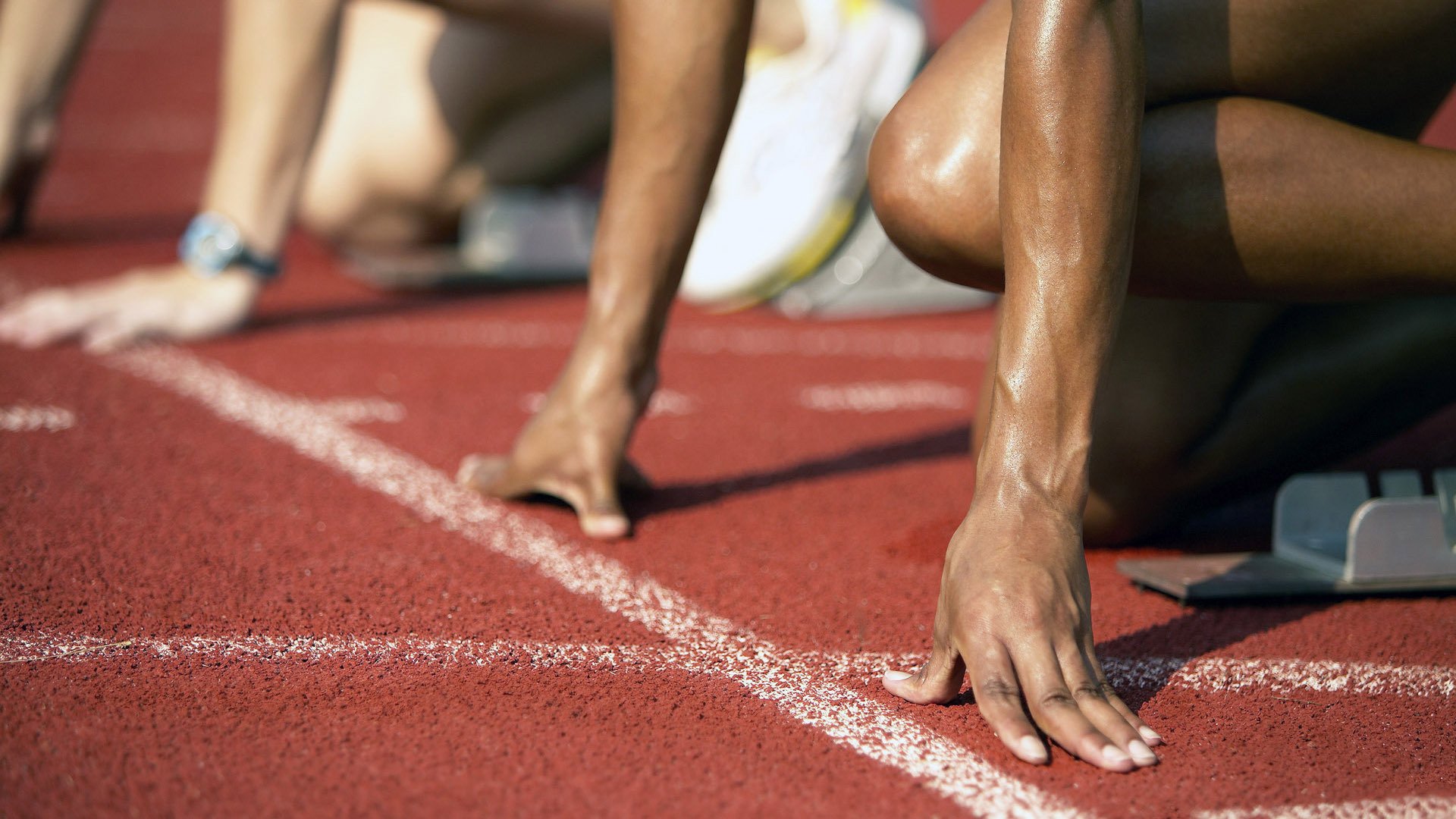 伊朗马术协会与欧洲马术协会签署合作协议,共同举办国际赛事。