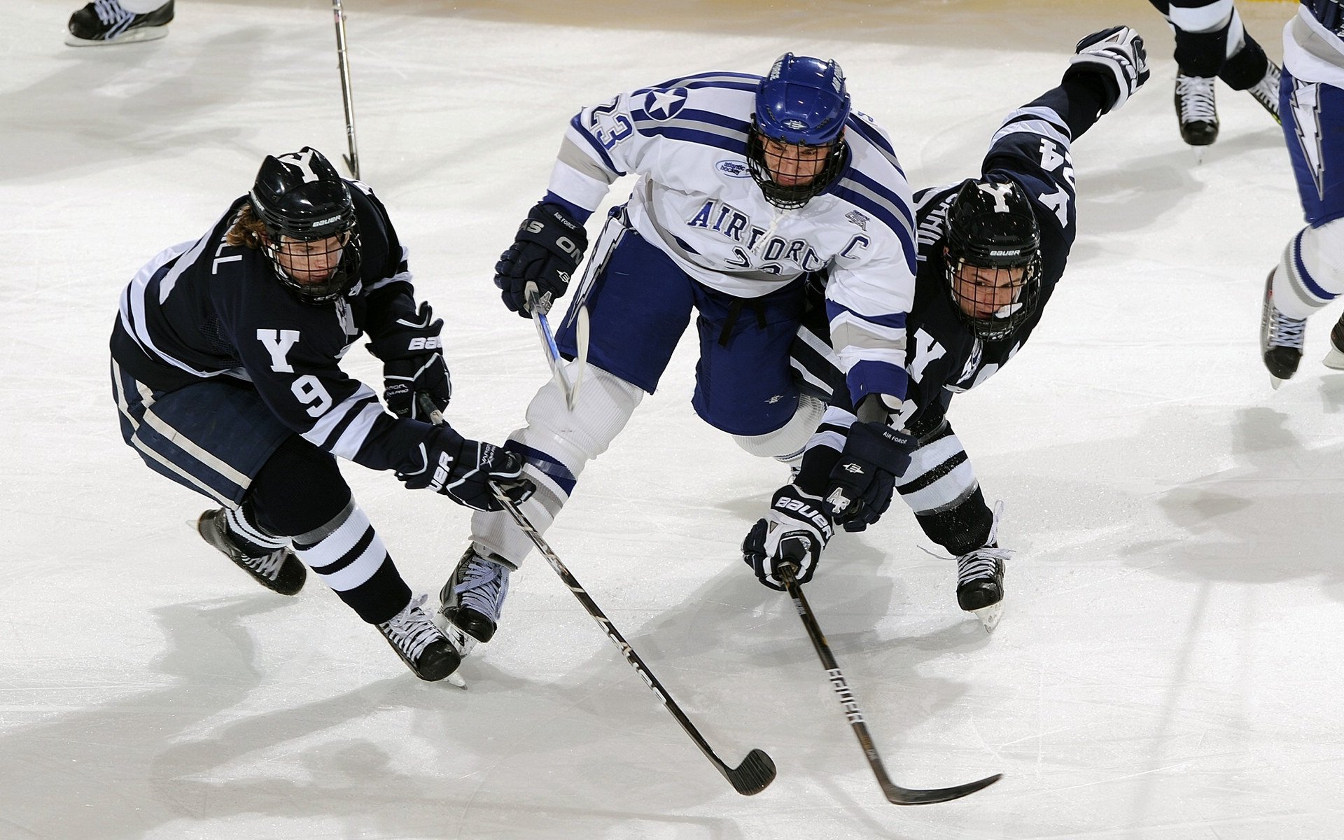 kaiyun官方网站-球员心理素质如何影响表现，球员倾向