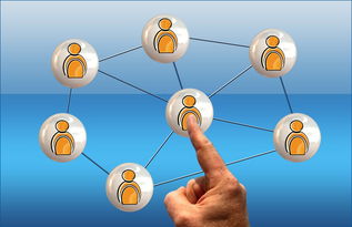 开云体育官网app-世界足球推广：南南合作助力新兴市场崛起，南亚足球强国