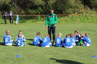 开云体育客服-德甲球队构建战术模拟平台提升临场应变能力，德甲模式